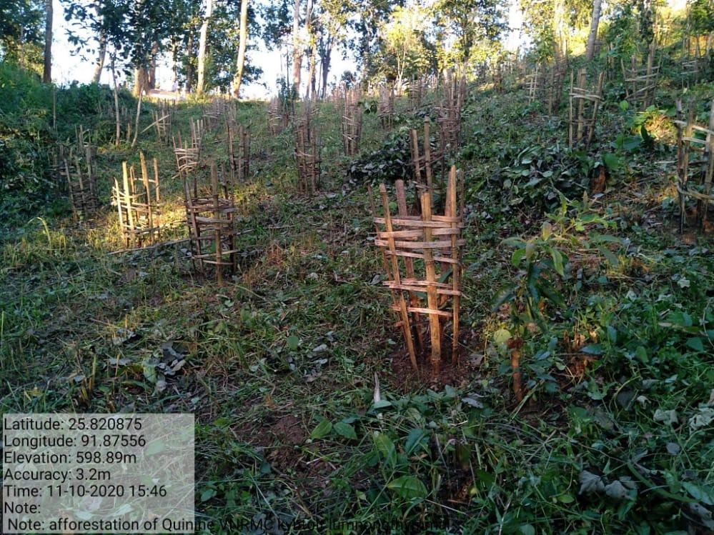 C:\Users\Lavinia Pde\Pictures\Camera Roll\IMG-20220713-WA0032.jpg